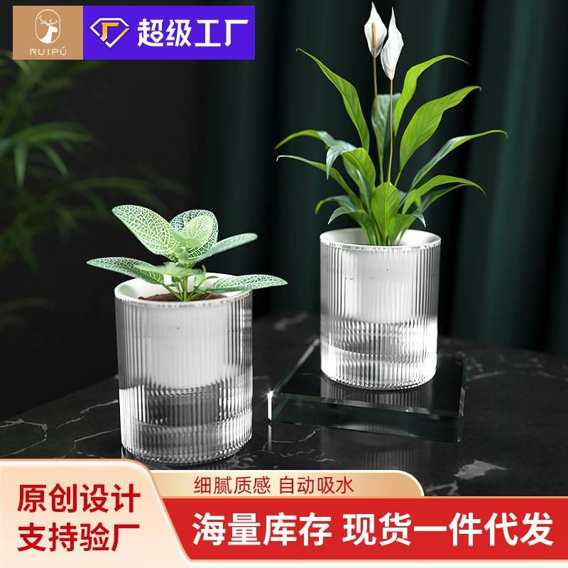 懒人专用自吸水花盆透明水培器皿塑料仿玻璃水培水养花盆绿箩专用