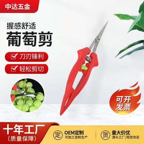 现货不锈钢花艺专用剪刀直头摘果剪尖头园艺剪刀盆景园林剪修枝剪