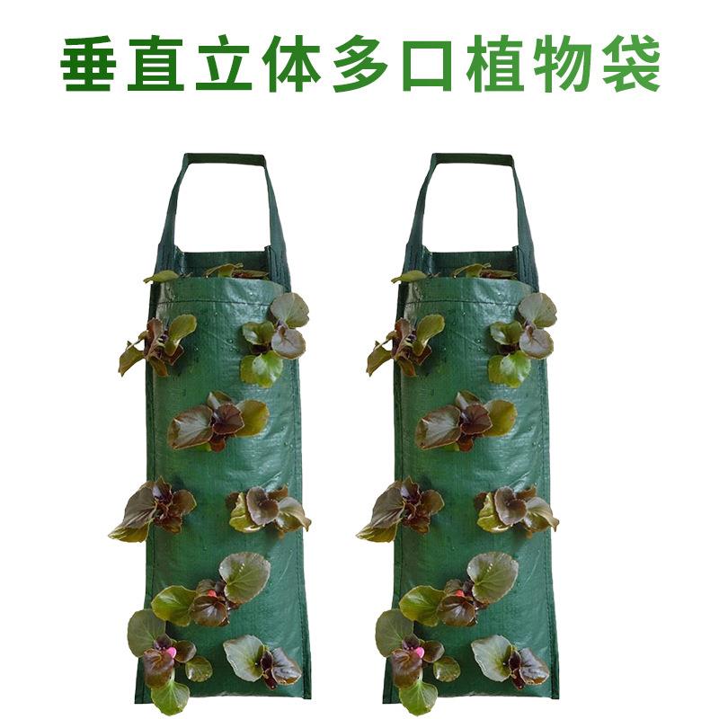 2023新品多口PE悬挂草莓种植袋跨境壁挂式种植袋垂直立体植物袋