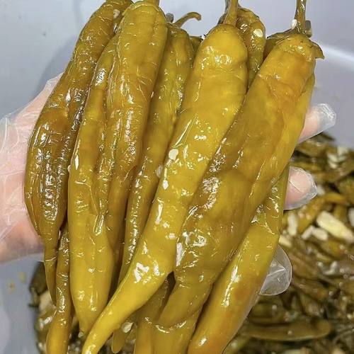 酸辣椒大青辣椒正宗酸辣泡椒腌辣椒坛子泡菜微辣咸酸开胃下饭咸菜