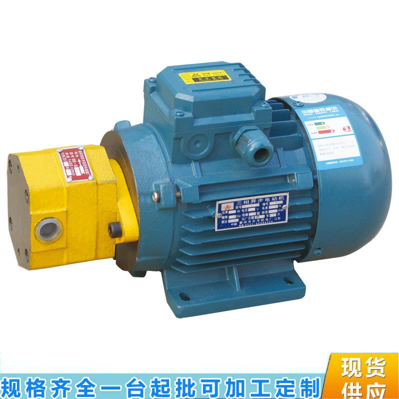 苏中液压BB-B4-DBB-B6-DBB-B10JZ直联插入式内轴式油泵电机组