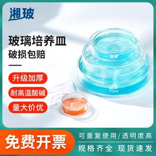 湘玻玻璃培养皿器皿实验室平皿方形细胞植物弧菌酵种培养皿架90mm