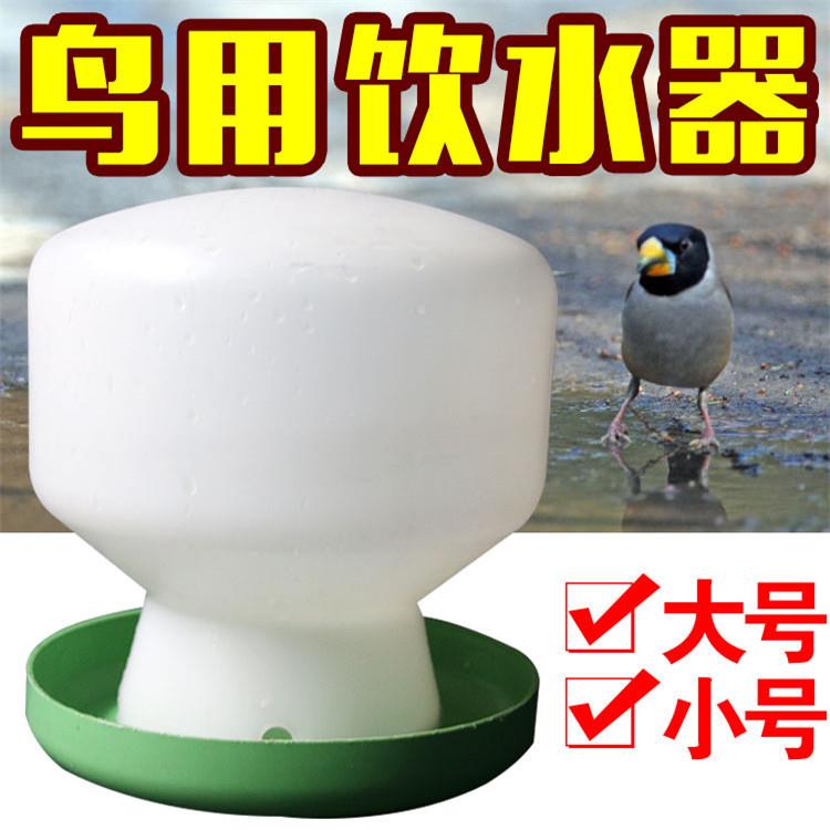 鸡鸭鹅鸽用饮水壶雏鸡饮水器小号鸡用自动饮水壶饮水桶自动喂水器