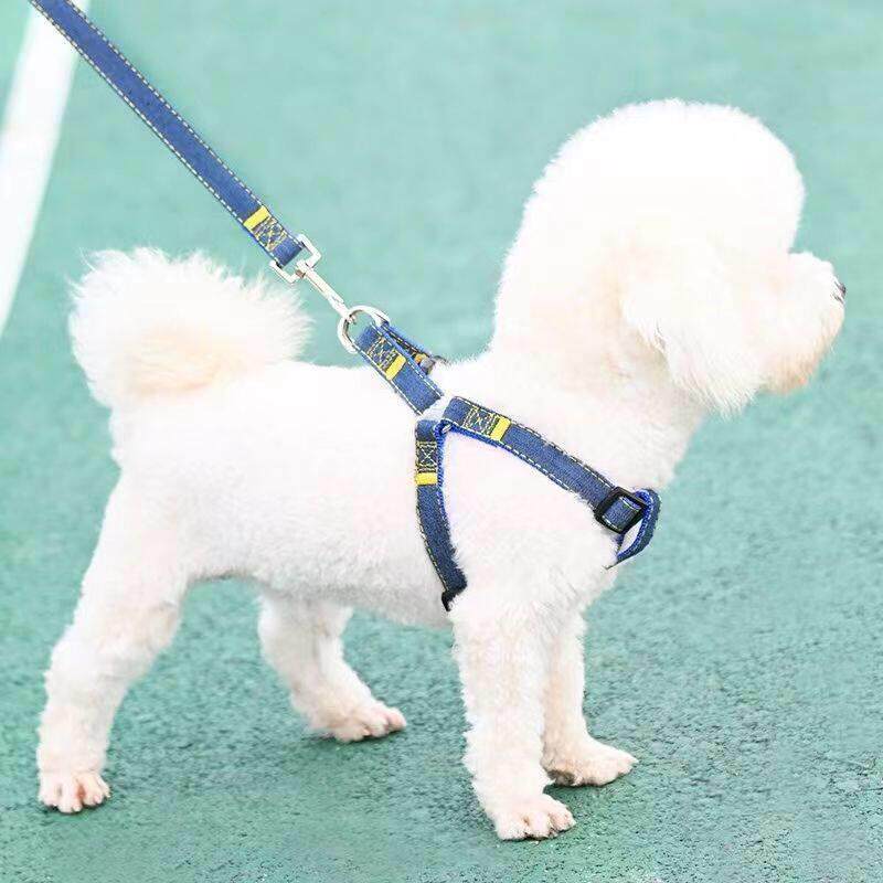 狗狗遛狗牵引绳背带胸背带绳子狗子小型中型大型犬泰迪拴狗用品