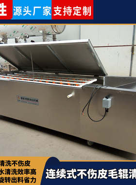 隆胜生姜毛辊清洗机 根茎类蔬菜毛刷式清洗机 鲜姜不伤皮去泥机器