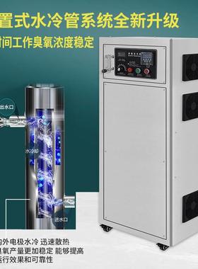 臭氧0产生水处消毒机DMN-KS505G食品理制药车间泳池杀菌100g 工业