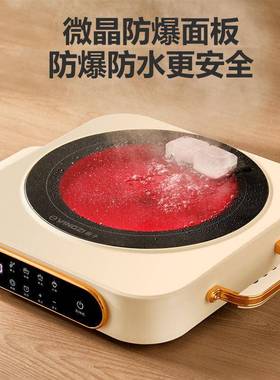 扬子电陶炉家用舍炒宿CA2222M炒菜火锅大功率多功能不挑款锅爆具