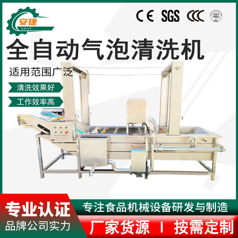 自动高压喷淋式果蔬气泡清洗机 农作物海带清洗设备 红枣圣女果洗