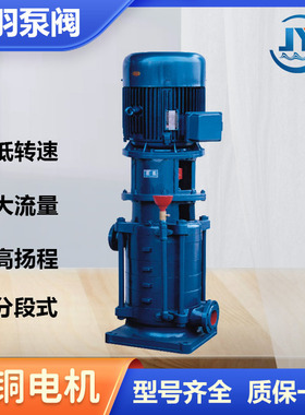 65DL30-16X6大流量高扬程立式多级离心泵 生活给水管道增压泵