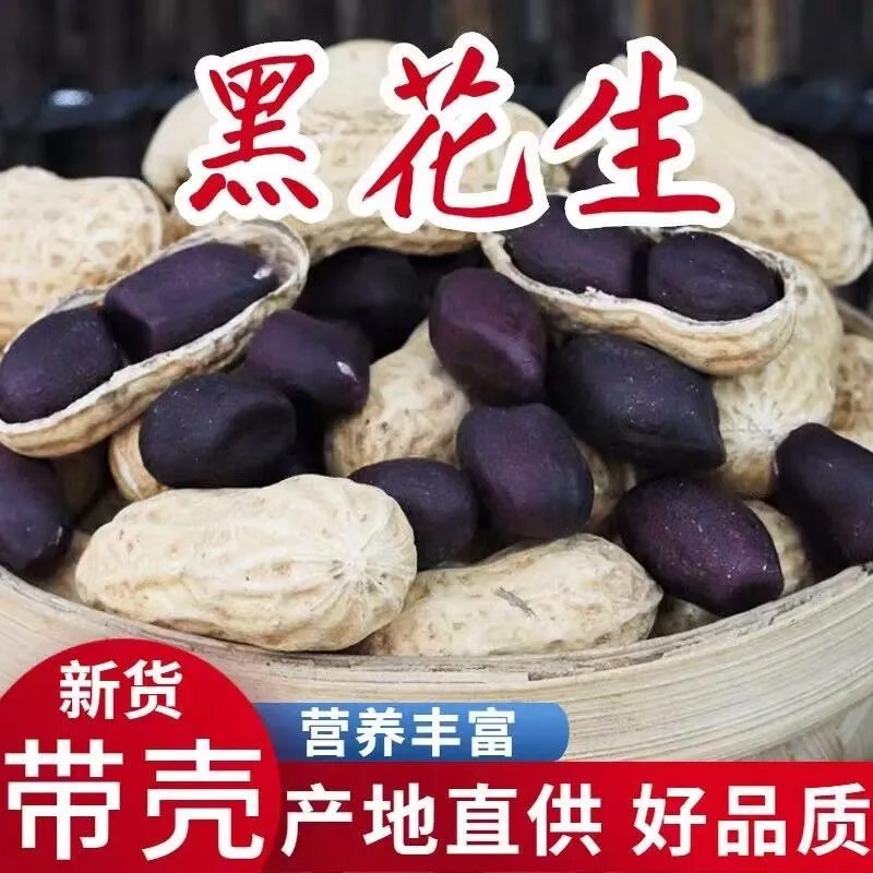 山东黑花生带壳生的农家大粒黑紫皮花生米生果花青素黑米饱满黑皮图片