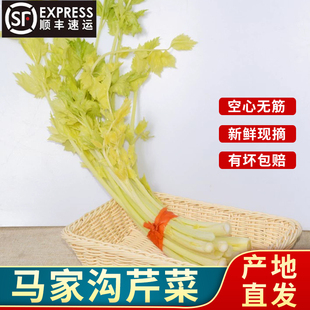 平度马家沟大叶黄芹菜嫩芽芹菜 产地直发 顺丰到家优质芹菜