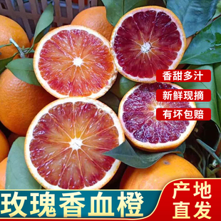 湖南正宗麻阳玫瑰香血橙 应季采摘玫瑰香血橙手剥雪橙红心甜橙子