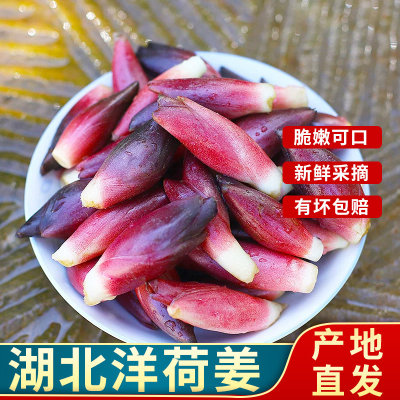 2026湖北新鲜阳荷姜 现货 洋河姜莲花姜阳霍姜洋火姜茗荷火姜笋