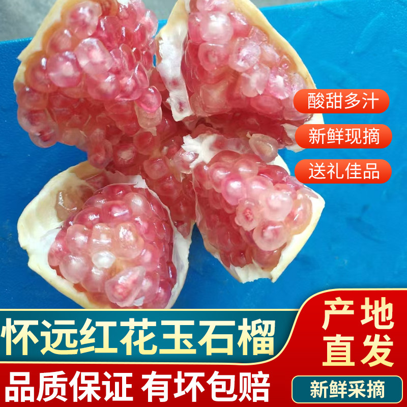 安徽怀远红花玉石榴薄皮粉色石榴籽甜石榴八两以上大果礼盒装