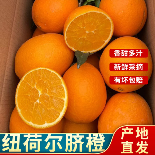 重庆奉节纽荷尔脐橙大果  正宗新鲜薄皮甜橙子果冻橙脐橙酸甜多汁