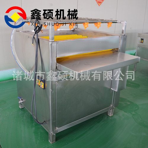 荷叶清洗机芭蕉叶毛辊洗叶机  粽子叶双面毛刷清洗设备粽叶清洗机