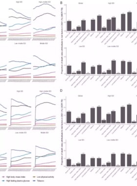 CLIP-seq RNA结构预测生信代做RNAfold支持二级结构分析