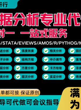 SPSS数据分析服务meta调整Stata计量amos问卷eviews统计医学r辅导