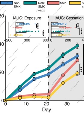 Nature折线图R语言代码Rstudio绘图SCI科研生信医学数据分析作图