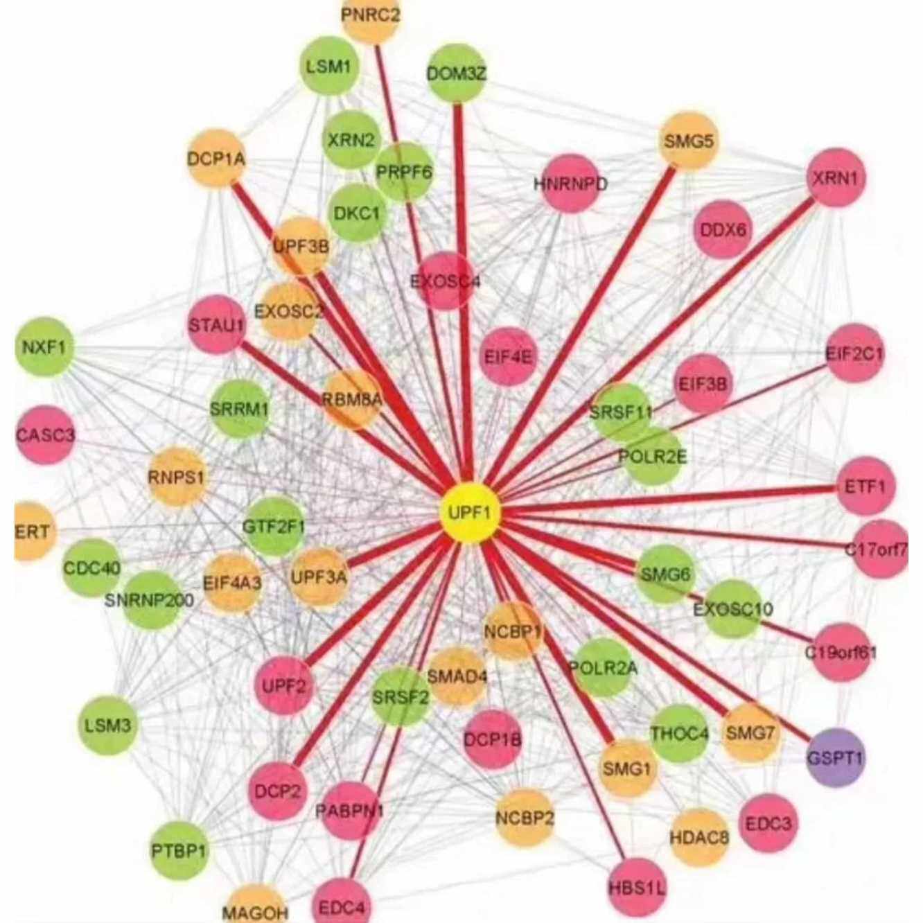 网络药理学代做,各类网络图,cytoscape,GO、KEGG富集分析,PPI