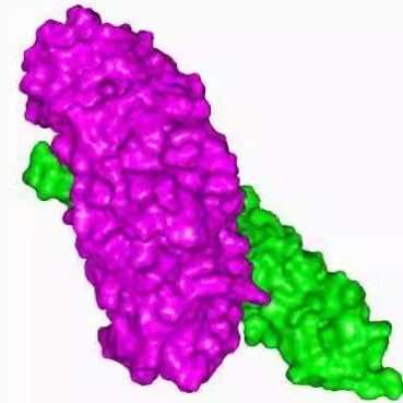 modeller 蛋白 同源建模 服务费