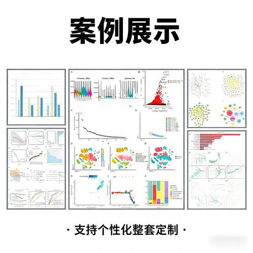 VASP/高斯、MS/QE、CP2K/CASTEP、Dmol3第一性原理代算DFT计算