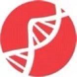 分子对接,虚拟筛选,药物设计,蛋白对接……可视化