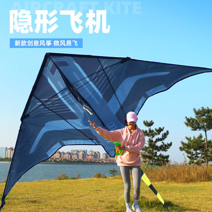 2024新款飞机风筝大人s专用高档潍坊成人特大号超大型巨型专业高