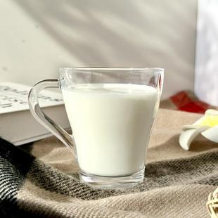 简约透明玻璃杯耐热带把喝水杯子家用牛奶早餐杯咖啡杯马克杯 欧式