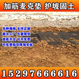 湖南加筋麦克垫生态绿化加筋三维植被网三维固土工网垫喷浆挂网植