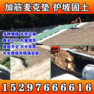 广东加筋麦克垫三维植被网植草护坡网三维土工网垫土工网EM3型NSS