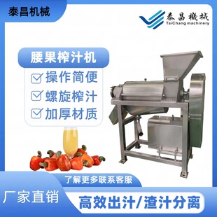 不锈钢腰果螺旋榨汁机大型腰果汁加工设备果蔬榨汁设备源头厂家