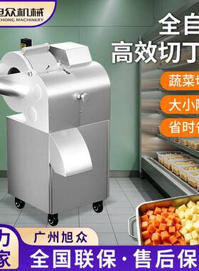 不锈钢切丁机多功能根茎类蔬菜切粒机餐饮式商用切割机