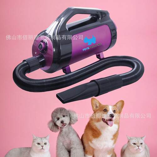 佰宠宠物吹水机猫咪狗狗洗澡烘干大功率静音吹风机大型犬吹毛机