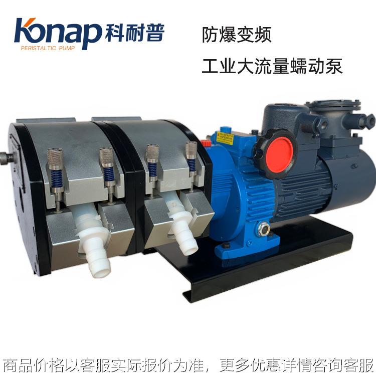 科耐普350工业大流量变频防爆铝合金双泵头蠕动泵厂家价格