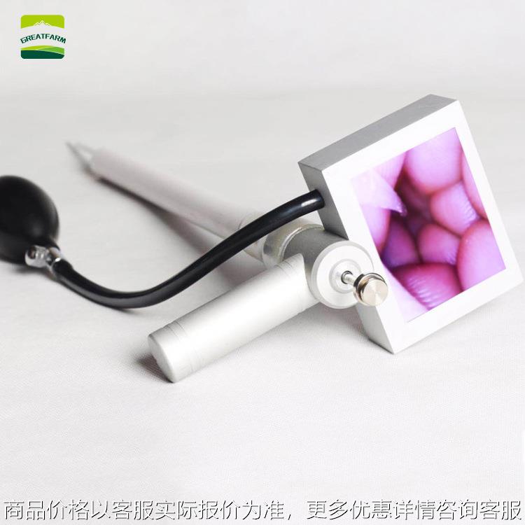 猪牛马羊鹿犬可视输精枪输精管人工受授精养殖内窥镜畜牧可视精准