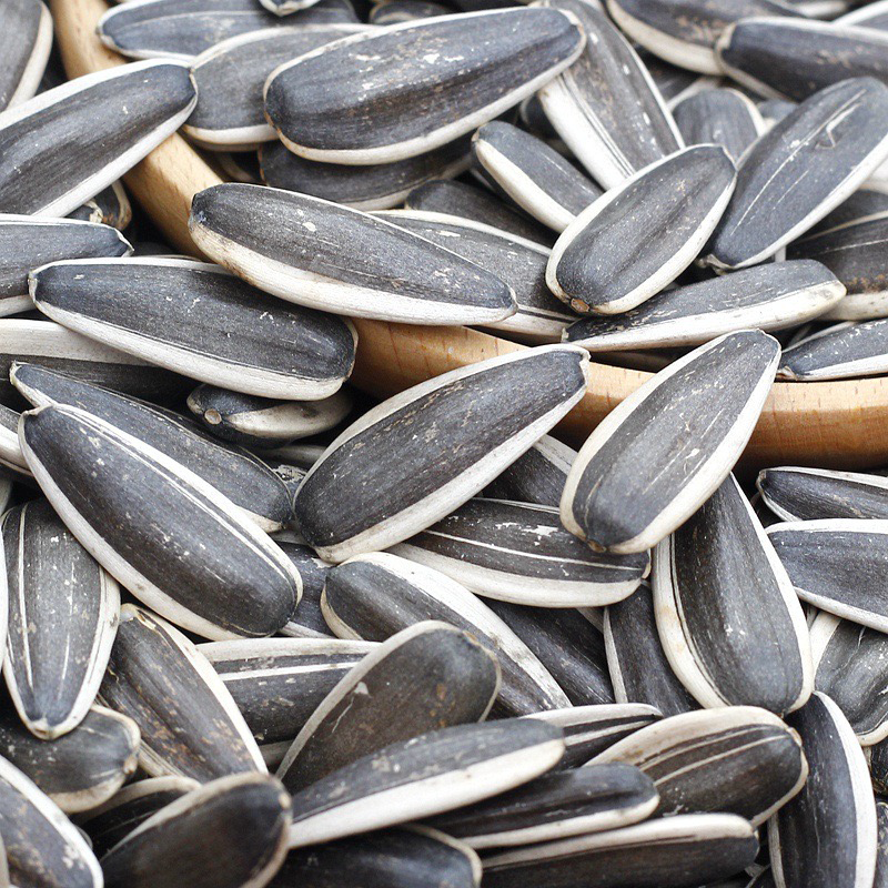 新货超大颗粒原味葵花瓜子无干燥剂袋装坚果生熟散装零食年货招待