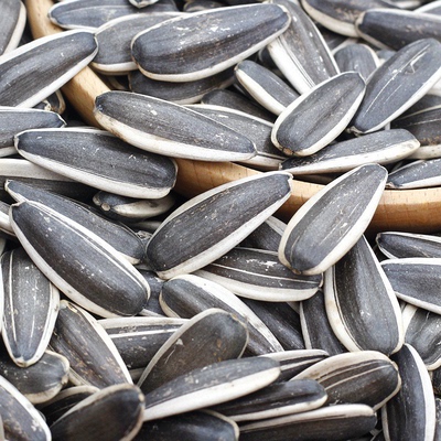 新货超大颗粒原味葵花瓜子无干燥剂袋装坚果生熟散装零食年货招待