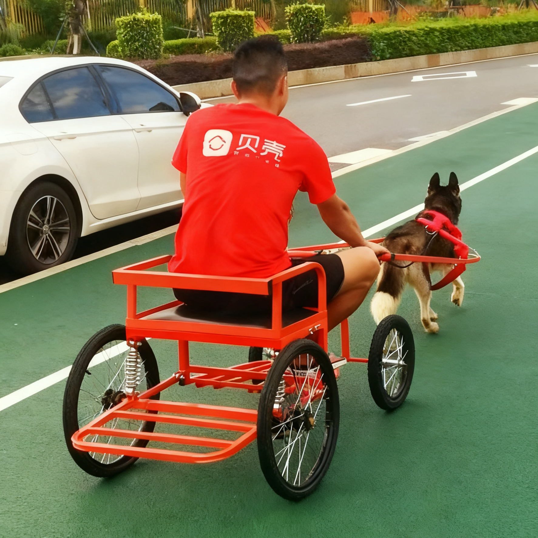 定制矮马拉车狗羊拉车