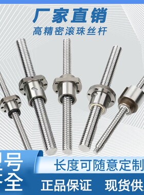 定制精密滚珠丝杆螺母套装1605 1204 2510 2005 研磨丝杆可加长