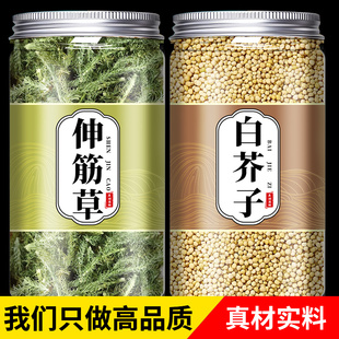 伸筋草白芥子中药材野生新鲜小舒筋草泡脚泡水喝的功效与作用茶粉