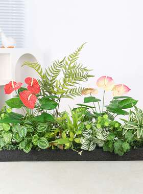 仿真花摆设植景物断热带假绿植花CD002槽隔观室花箱组合仿生造景