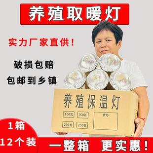 养雏殖暖灯KLO猪取暖灯场育保温灯牛羊狗猪用保取暖灯节能小仔猪