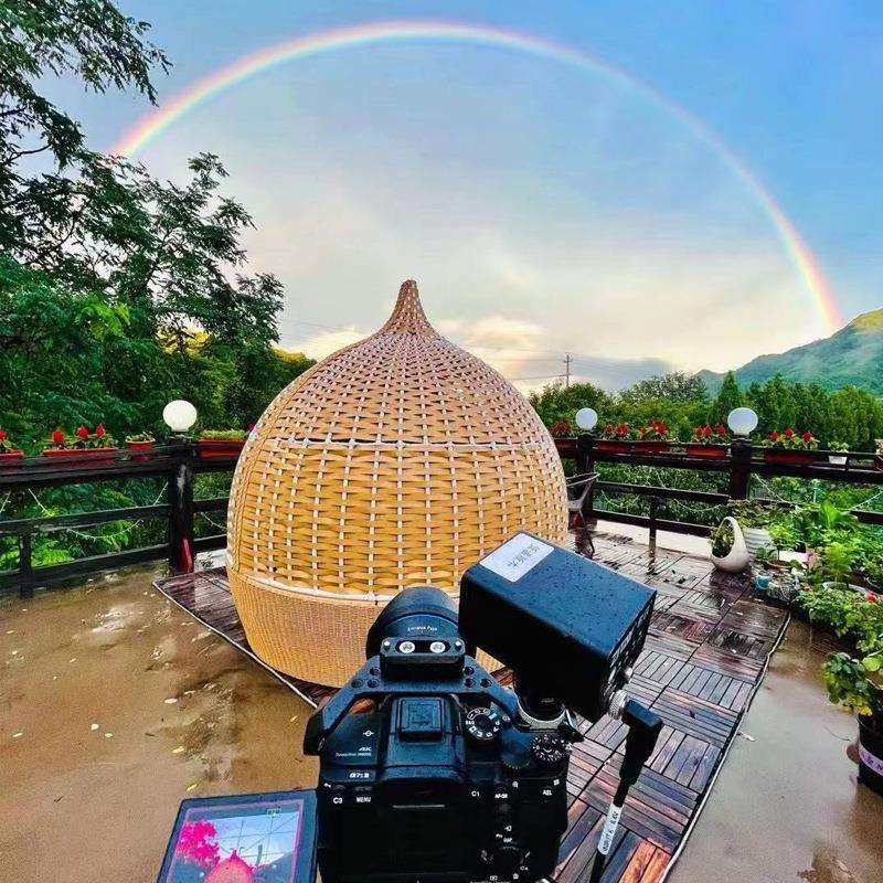 户躺床躺椅度假村吊景藤编鸟巢沙区发阳3-30-6外台民宿秋千椅休闲