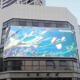 LE5高清LED广告外 d显示屏 户室外广告D屏 p10Le