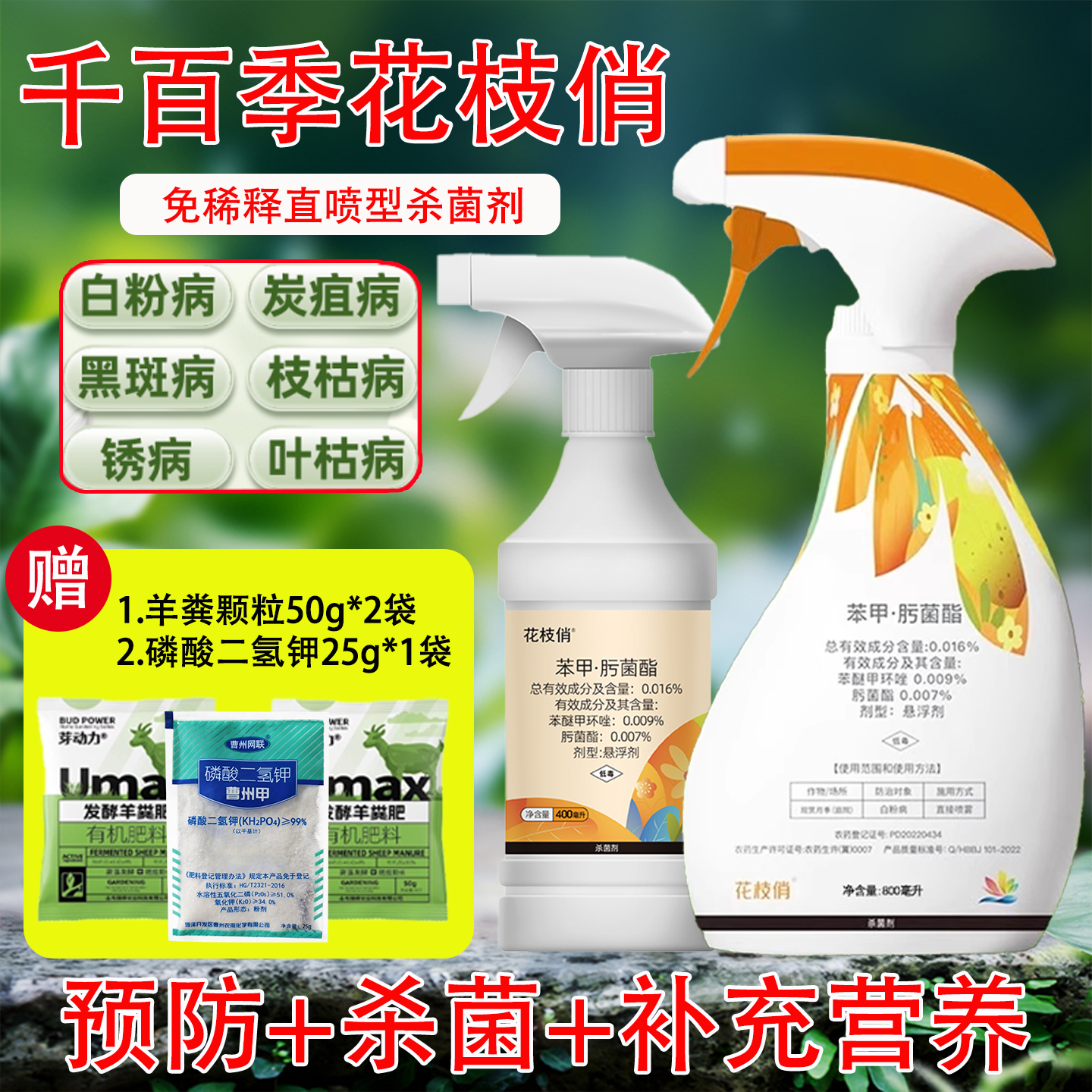千百季花枝俏免稀释笨苯甲肟菌酯脂月季炭疽白粉病黑斑锈病专用药
