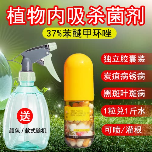 护花匠岐云苯醚甲环唑月季黑斑病兰花炭疽锈病叶斑病专用药杀菌剂