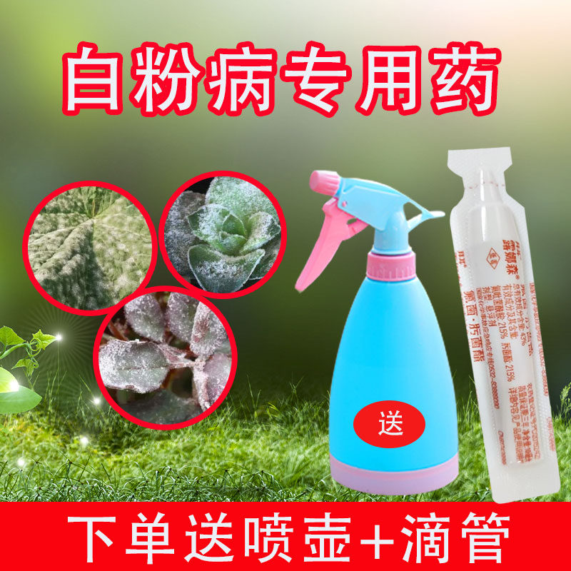 白粉病炭疽病专用药进口杀菌剂
