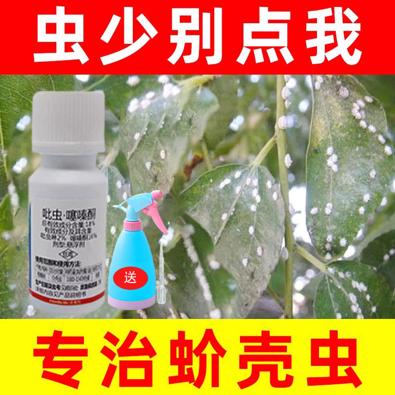 多肉兰花介壳虫专用药杀虫剂