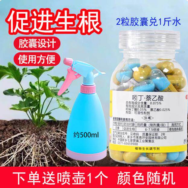 护花匠引吲丁萘乙酸胶囊多肉月季扦插花卉绿植移栽换盆生根促根剂